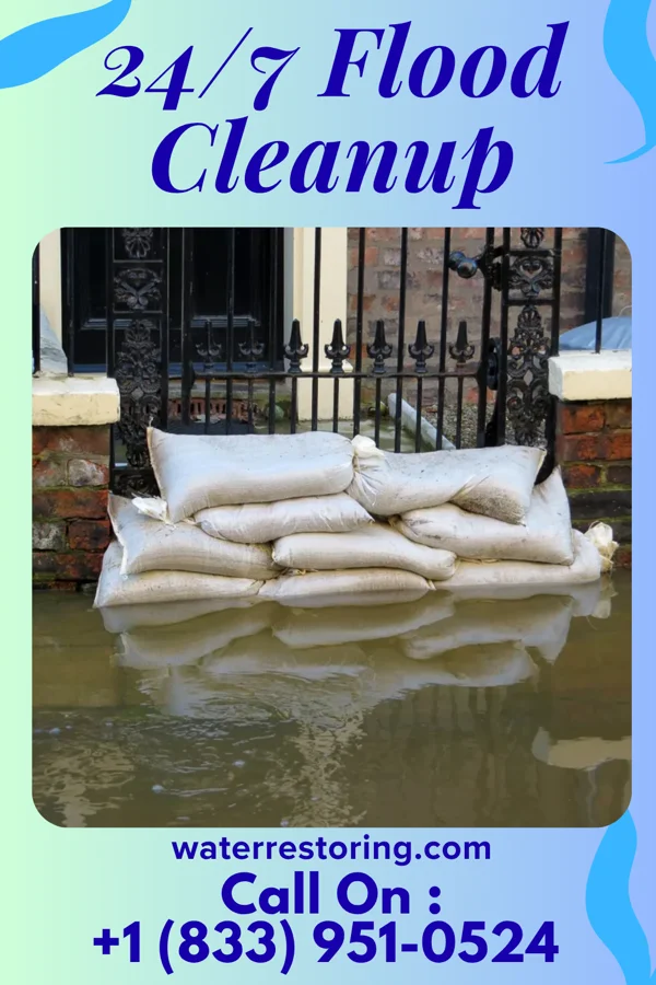 24/7 Flood Cleanup in Birch Tree, MO