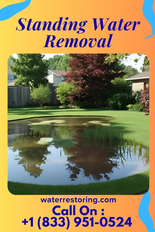 Standing Water Removal in Birch Tree, MO